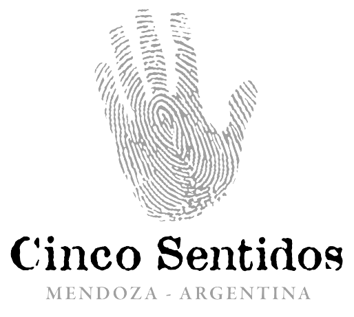 Logo CincoSentidos